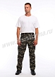 Расцветка 2
