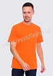 Расцветка 5